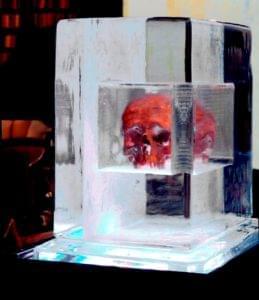 Skull in ice