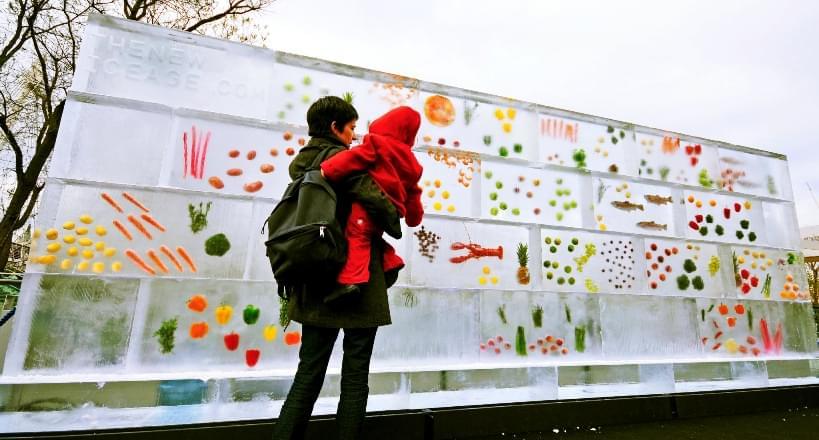 Wall, Frozen, Food