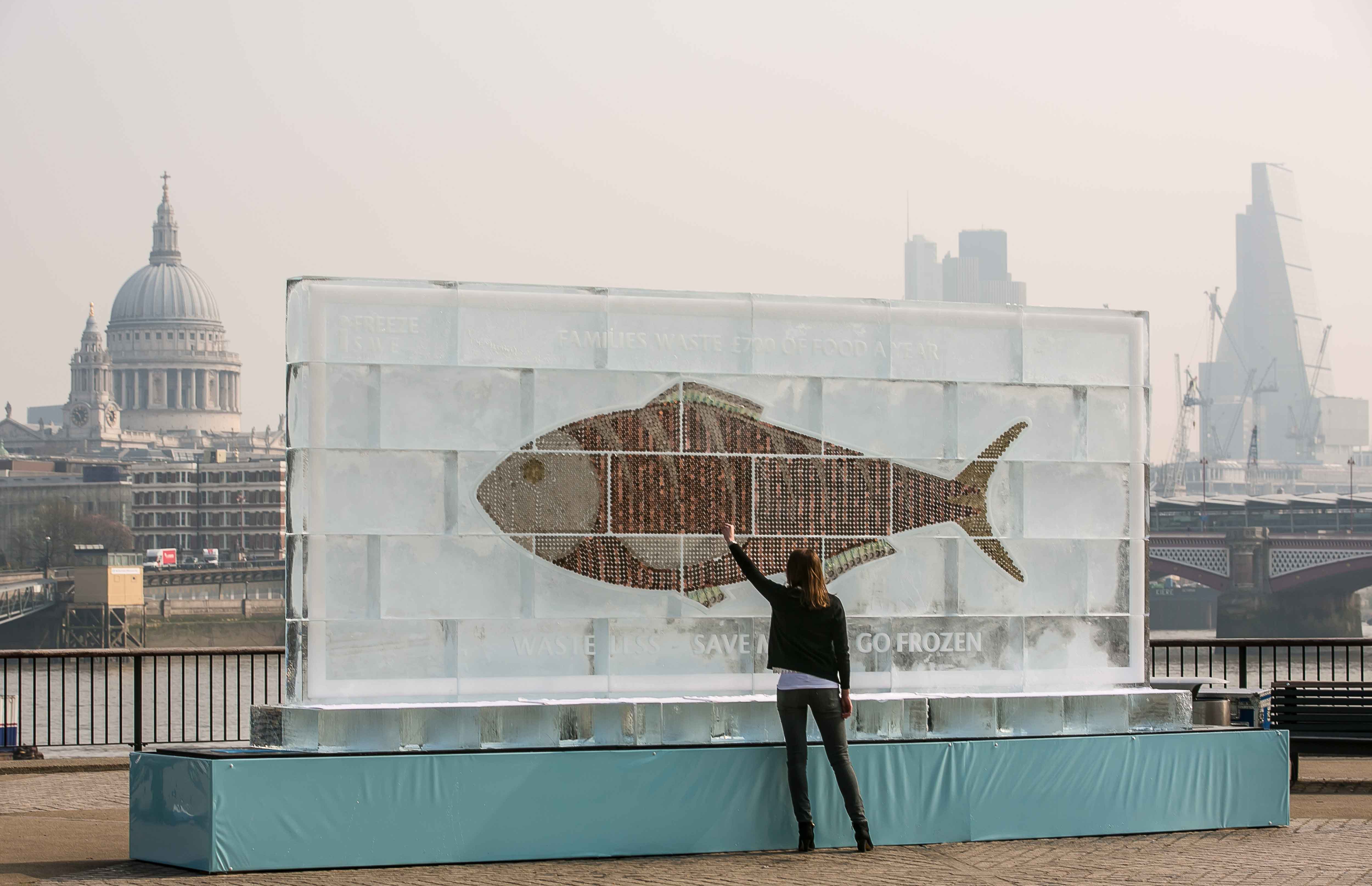 Frozen, Billboard, Wall, Fish