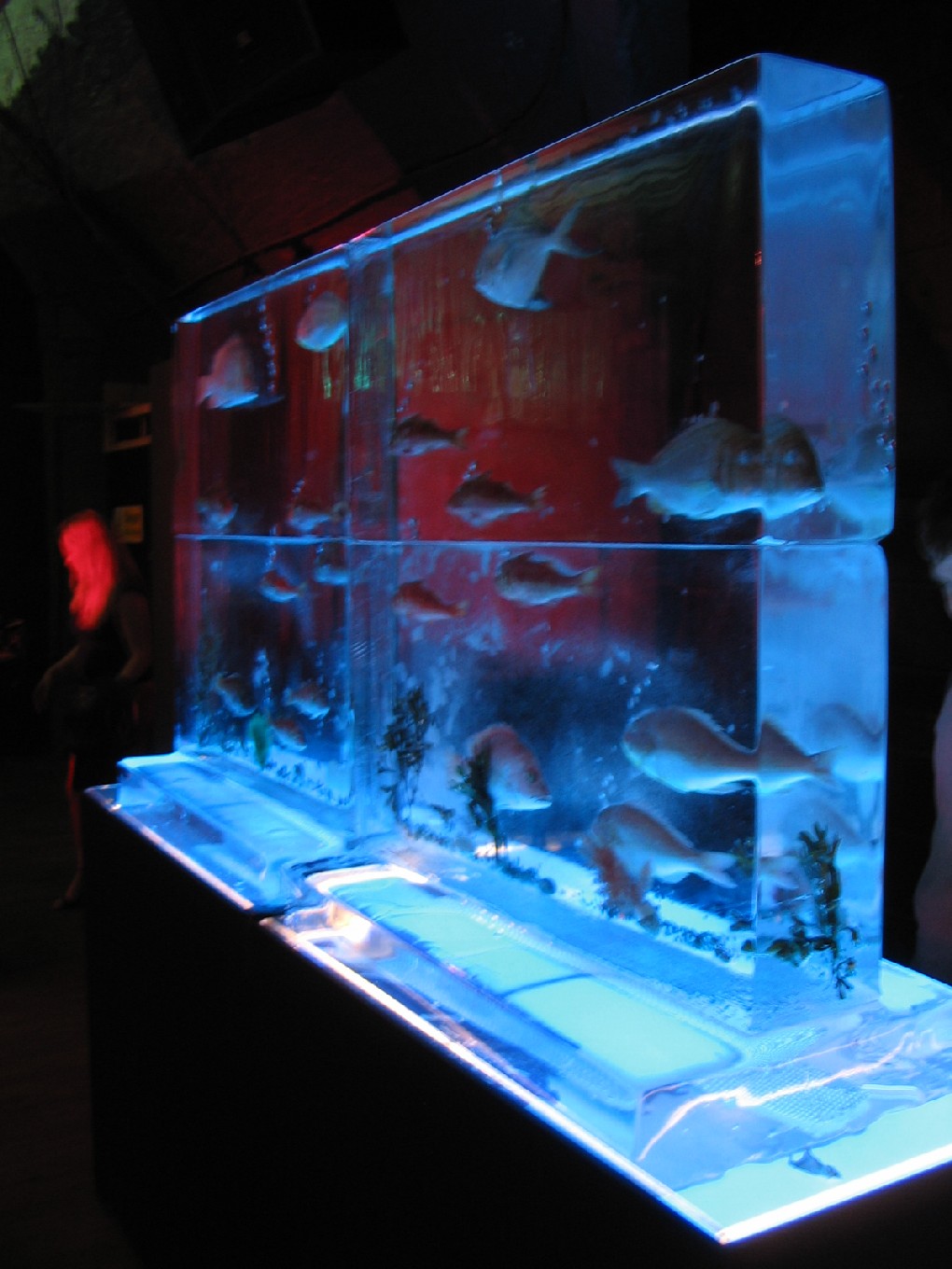 buste loyaliteit wapen 2m x 1m Aquarium with fish frozen inside ice sculpture- ice wall- catering-  food station
