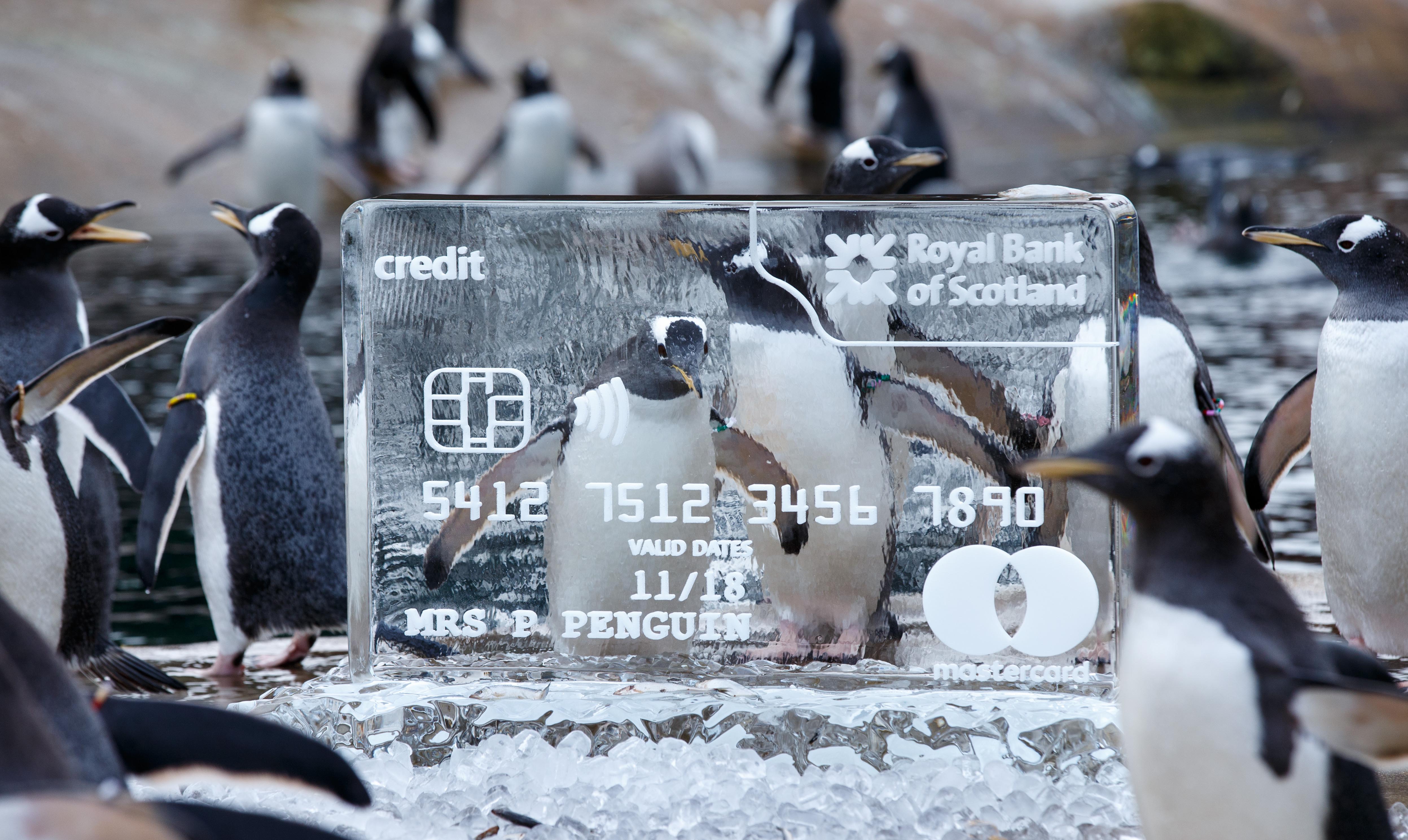 RBS Credit card logos - Edinburgh Zoo