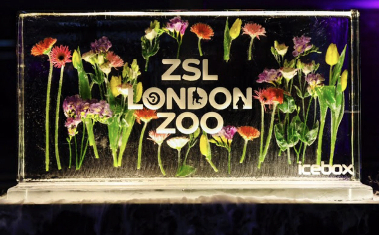 London Zoo logo ice sculpture