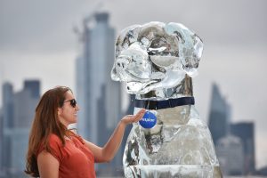 Ice Dog Ice Sculpture - Pet Plan UK - Southbank