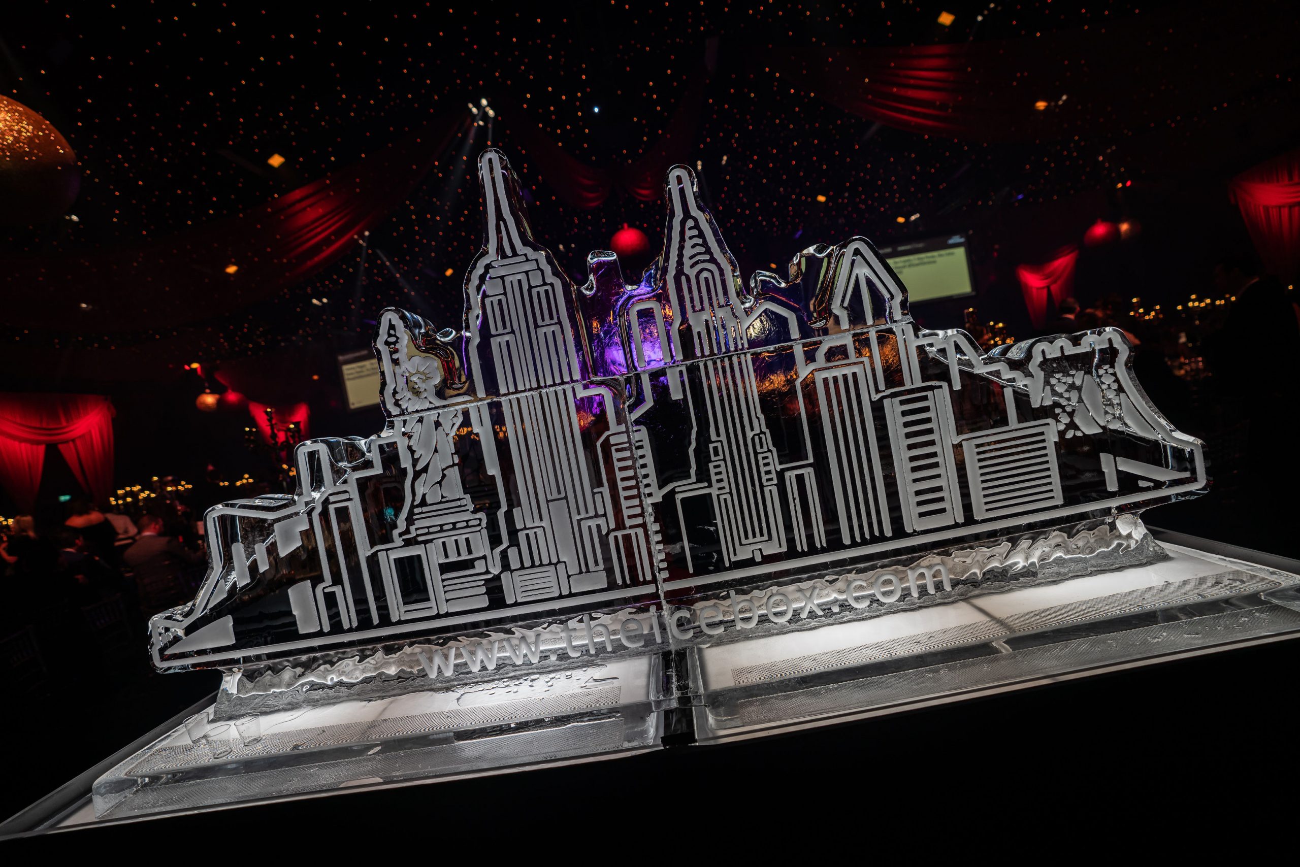 Ice Luge Picture Gallery - New York