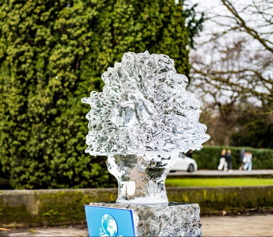 oak tree ice sculpture