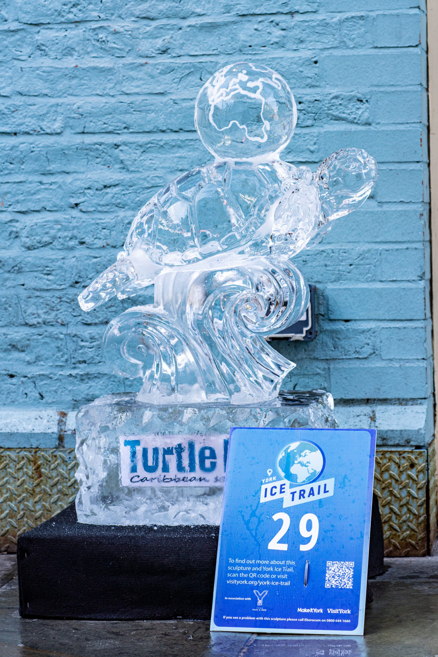 turtle ice sculpture
