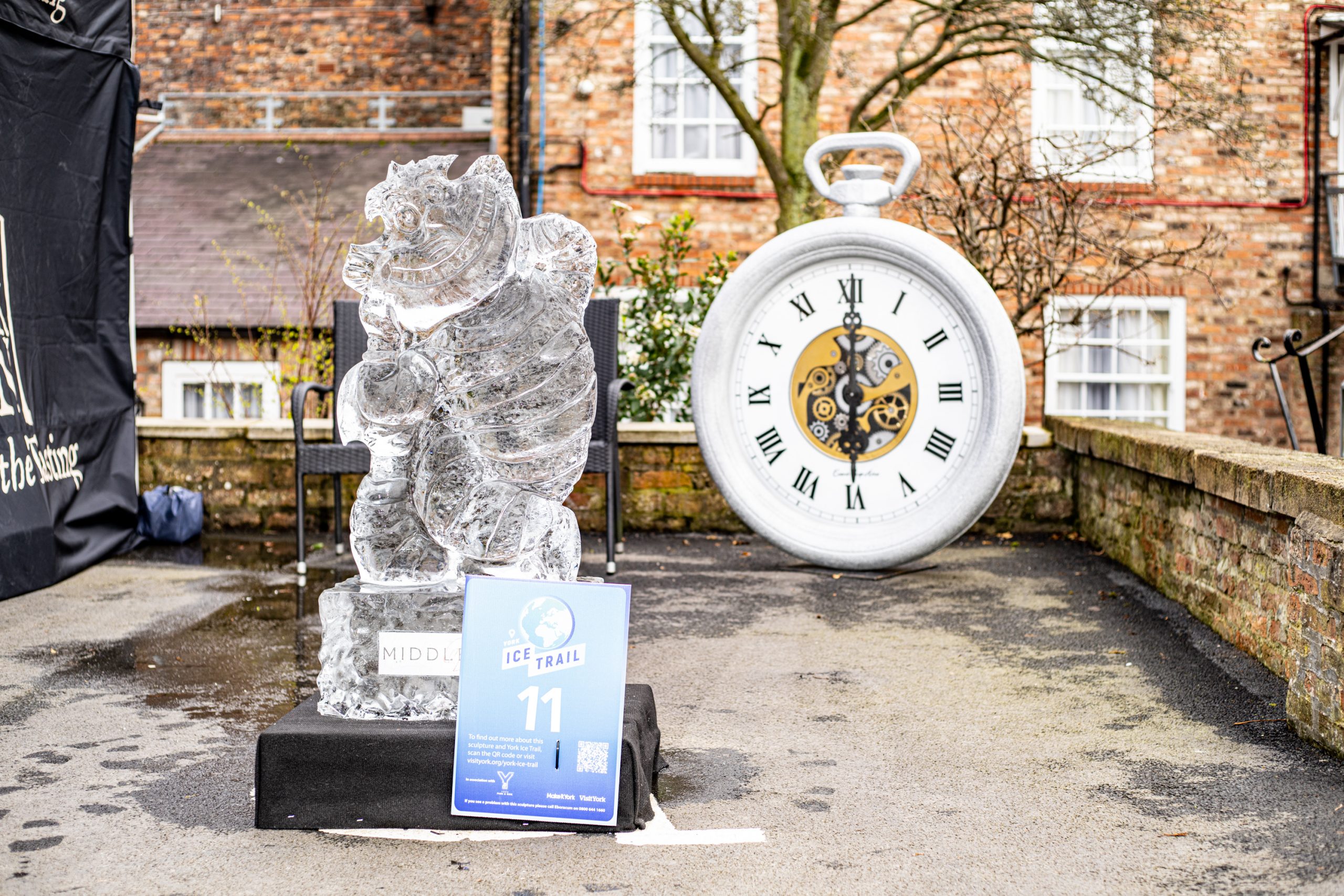 cheshire cat disney ice sculpture