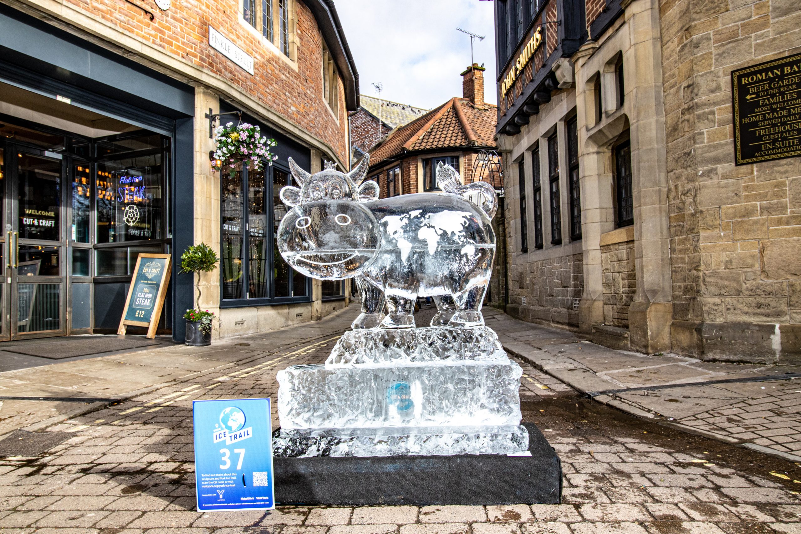 cow ice sculpture